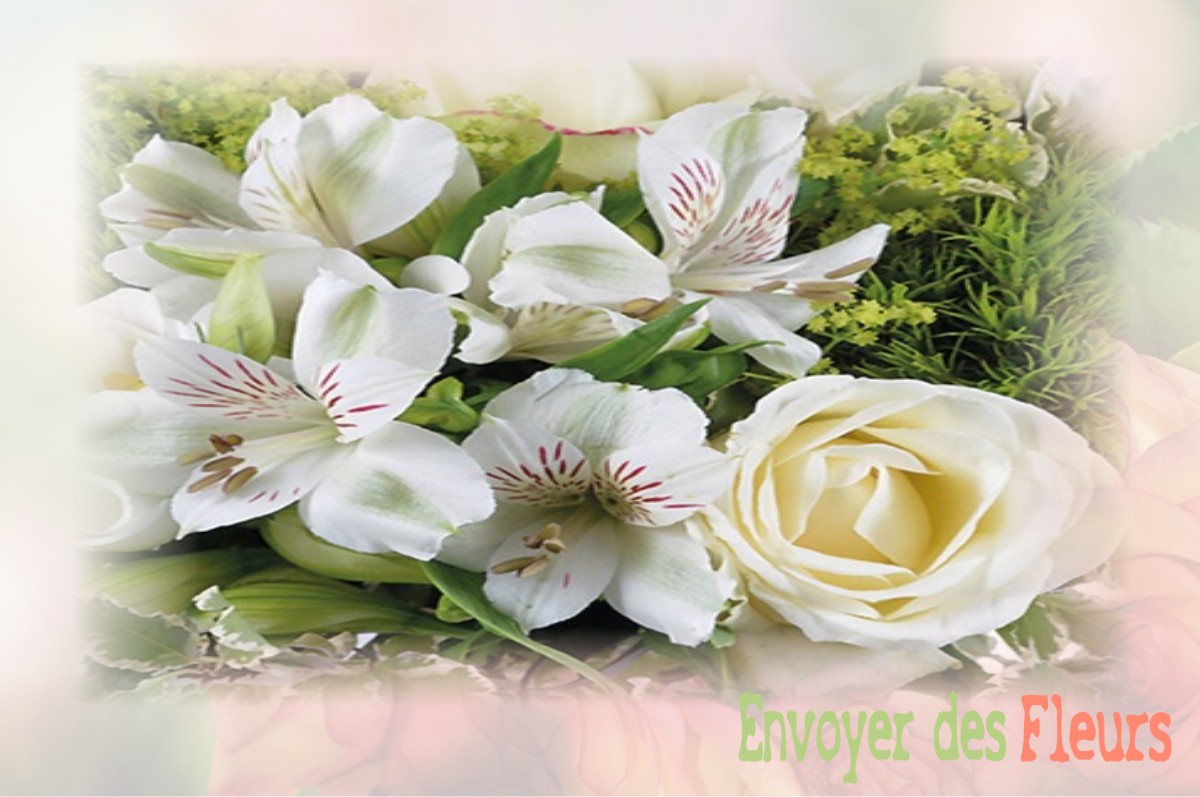 envoyer des fleurs à à OMONVILLE-LA-PETITE